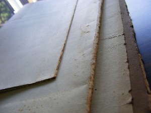 biblioteca 288 copy.jpg